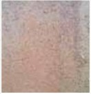 MJ Jedwabne Kostka brukowa Vicus melanż